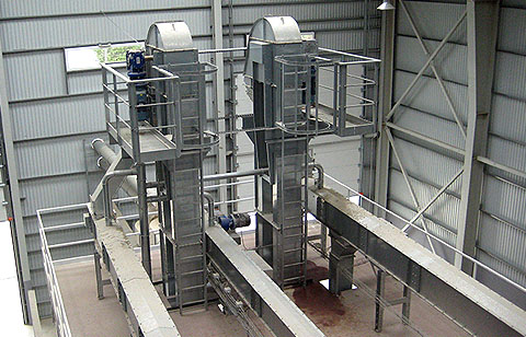 Elevators with ladders and service platforms