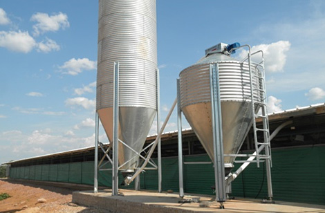 Feed silos with flex augers