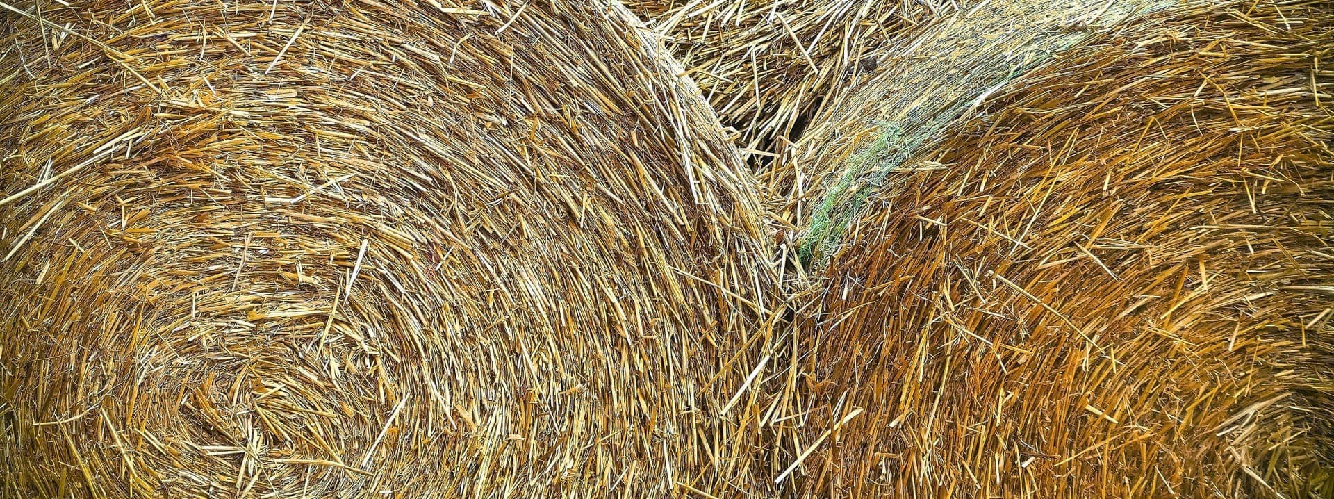 Straw Processing